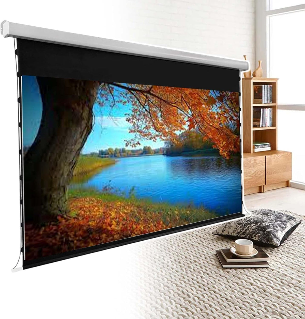 ¨¦cran de projection, t¨¦l¨¦commande, 48 dB