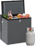 Techomey Cong¨¦lateur, 70L, r¨¦glable, 12V, 220V, 65, 5 ¡Á 51, 6 ¡Á 68, 6cm, 13¡ãC, Noir, portable, Maison, Chalet, Cabanon, G?te