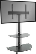 RICOO Support TV sur pied, 55 Pouces, 5kg, 30kg, portable