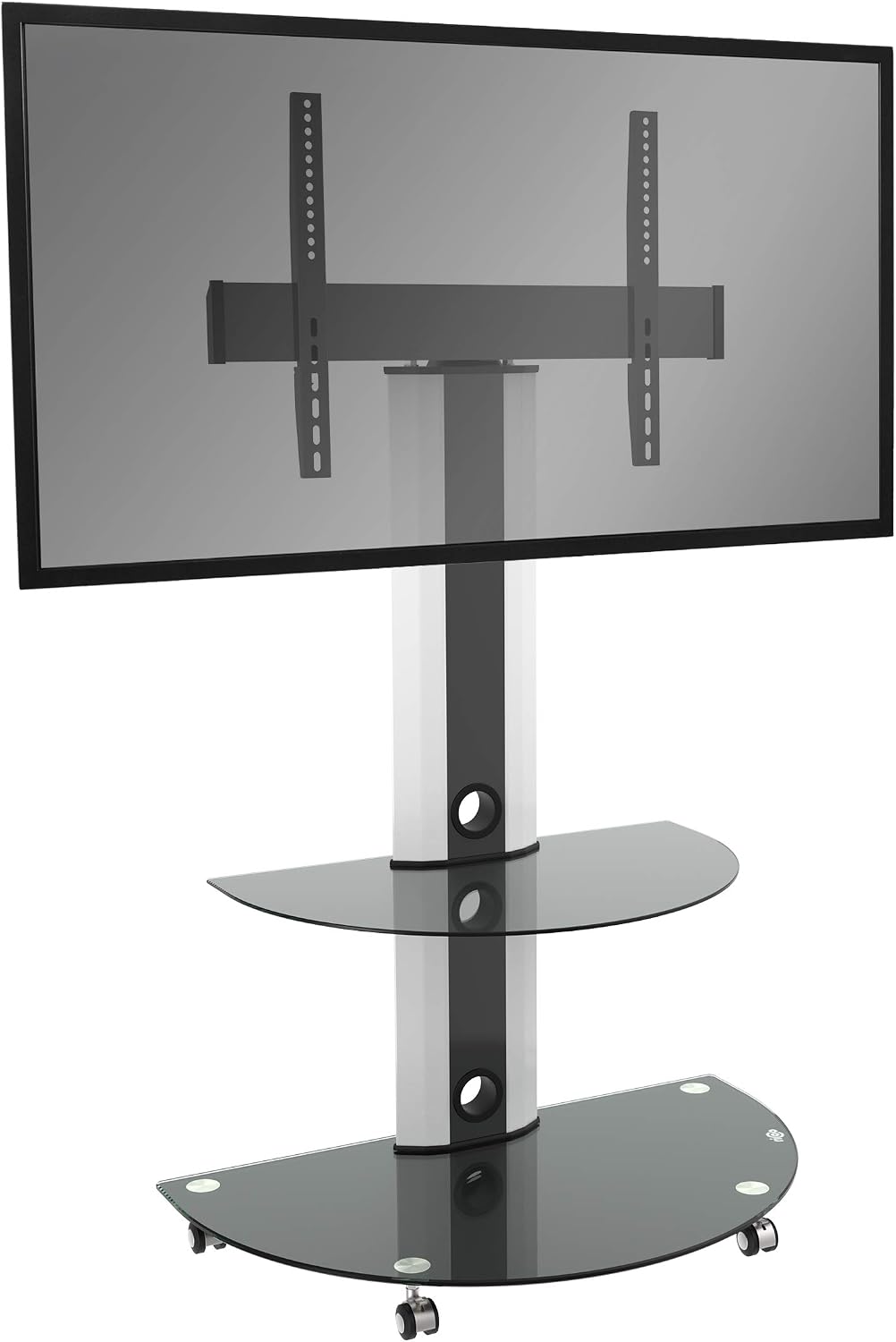 RICOO Support TV sur pied, 55 Pouces, 5kg, 30kg, portable